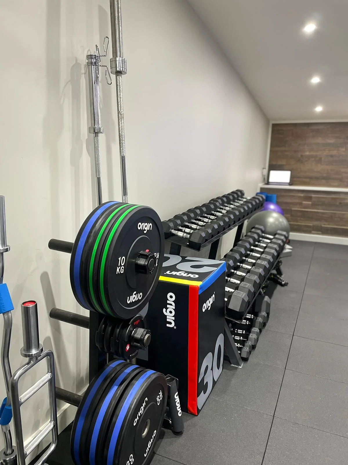 Weights arranged inside the private Eteneva Fitness studio